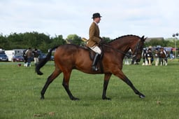 E36_0462 2026