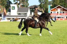E68_9054 2026