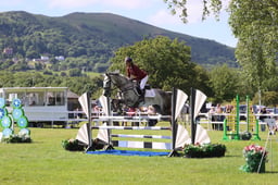 H313 Senior Foxhunter