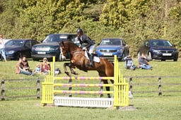 713 CLARAGH OLALA