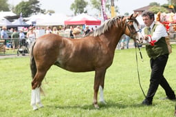 E34_2010 2026