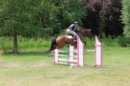 A56_0786 2026