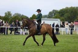 E30_5100 2026