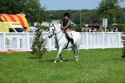 F33_0517 2026