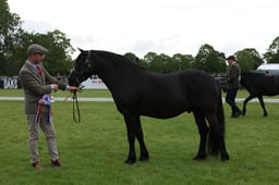 W29_0779 2026
