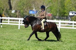 H19_1334 2026