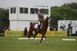 45 MY SPIRES HALITINO