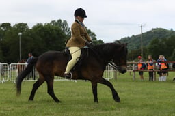 E41_0650 2026