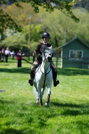 M19_0562 2026