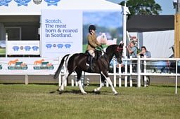 A47_1096 2026