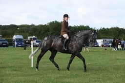 E36_0400 2026