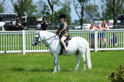 F33_0677 2026