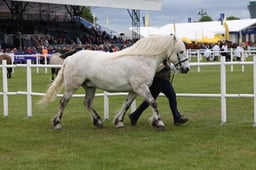 M44_0797 2026
