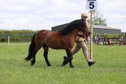 J36_7401 2026