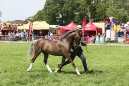 E34_1710 2026