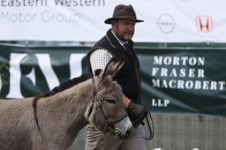 Donkeys
