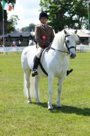 H47_0633 2026