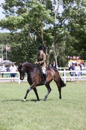 E42_3101 2026