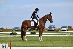 B21_5779 2026