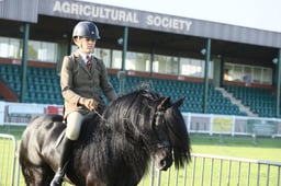112 M&M Ridden Novice Mixed Breeds