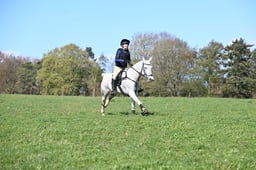 135 Mr Blue