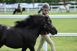 Z41_0546 2026