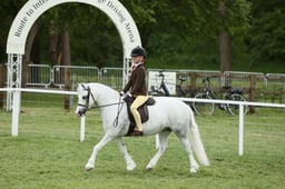 E30_4516 2026