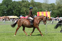 10 RIHS SSADL Ridden 15-18 yrs