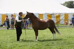 E34_2086 2026