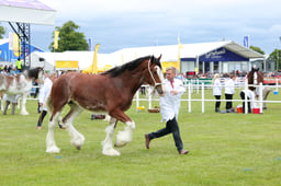 F44_0554 2026