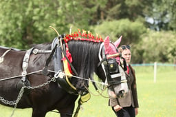 E36_1570 2026