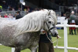 M44_0552 2026