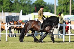 H47_9460 2026