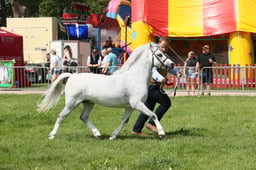 E34_1583 2026