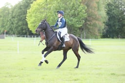 A27_4684 2026