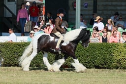 S61_0676 2026
