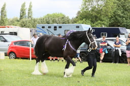 E36_1507 2026