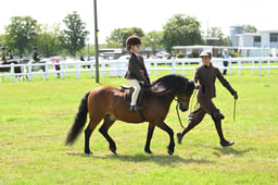 78-77 M&M Novice Mini Championships