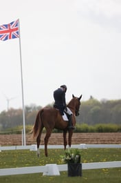 112 LAGANS RICE STAR