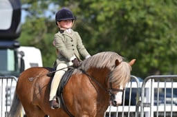 A65_0459 2026