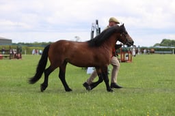 J36_7403 2026