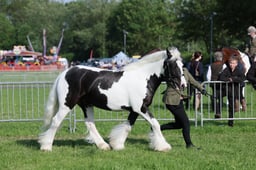 C34_0425 2026