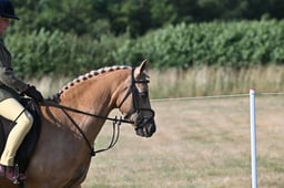 S60_0007 2026
