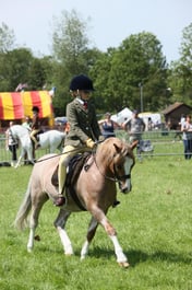 E33_5099 2026