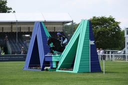 K24_1705 2026