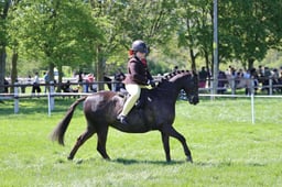 C19_1503 2026