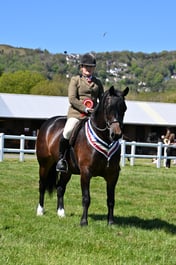 54-50 M&M Confined Novice Championship