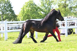 S19_7404 2026