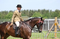C34_1488 2026