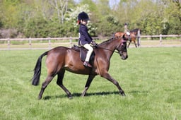 E17_0703 2026